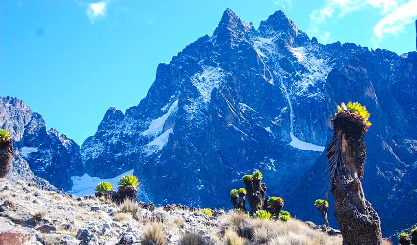 Mount Kenya Climb
